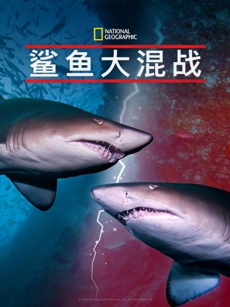 17吃瓜官网《鲨鱼大混战》免费在线观看