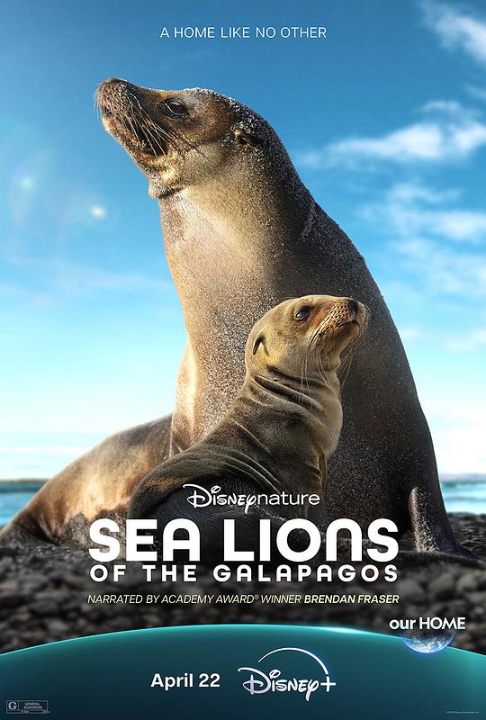 动漫《海狮利奥环岛记 Sea Lions of the Galápagos》HD免费在线观看
