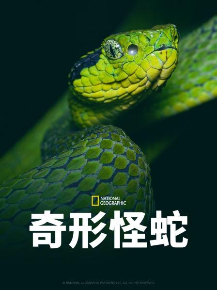 17吃瓜官网《奇形怪蛇》免费在线观看